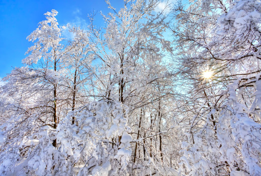 1001738 (a): :2880x1936